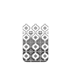 犀牛盾Clear Case防摔背蓋手機殼 - iPhone 17e - 【聯名設計款】 - 老屋顏 Old House Face - 透明-雛菊