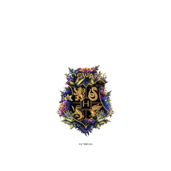 iPhone 17e Clear  Harry Potter 霍格華茲校徽