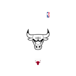 iPhone 17e Clear Case (MagSafe 兼容)  NBA B&W-芝加哥公牛 Chicago Bulls B&W - Light