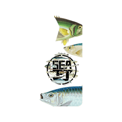 Galaxy S25 Clear Case (MagSafe 兼容)  KID 魚群海釣