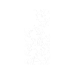 犀牛盾Clear手機殼 - Samsung Galaxy S25 - 【聯名設計款】 - 迪士尼-經典系列 Disney Classics - 獅子王 Le Roi lion - Simba