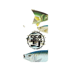 犀牛盾Clear Case手機殼 - Samsung Galaxy A56 - 【聯名設計款】 - KID - 魚群海釣