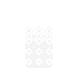 犀牛盾Clear Case (MagSafe 兼容 & 相機按鈕)防摔背蓋手機殼 - iPhone 17 - 【聯名設計款】 - 老屋顏 Old House Face - 透明-雛菊
