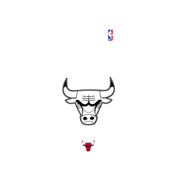 iPhone 17 Clear Case（MagSafe 兼容 & 相機按鈕）  NBA B&W-芝加哥公牛 Chicago Bulls B&W - Light