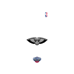 iPhone 17 Clear Case（MagSafe 兼容 & 相機按鈕）  NBA B&W-新奧爾良鵜鶘 New Orleans Pelicans B&W