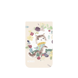 iPhone Air Clear Case（MagSafe 兼容 & 相機按鈕）  涼丰 跟我走貓咪