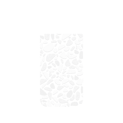 犀牛盾Clear Case（相機按鈕）防摔背蓋手機殼 - iPhone Air - 【聯名設計款】 - 老屋顏 Old House Face - 透明-磨石子