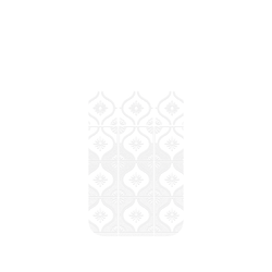 犀牛盾Clear Case (MagSafe 兼容 & 相機按鈕)防摔背蓋手機殼 - iPhone Air - 【聯名設計款】 - 老屋顏 Old House Face - 透明-雛菊