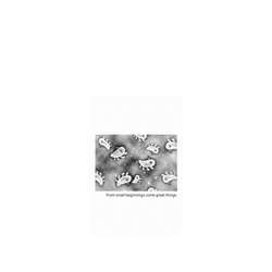 犀牛盾Clear Case（相機按鈕）防摔背蓋手機殼 - iPhone 17 Pro - 【聯名設計款】 - 怪奇事物所 Incrediville - 所長細胞群_白