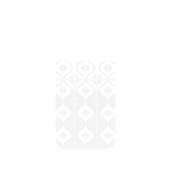犀牛盾Clear Case（相機按鈕）防摔背蓋手機殼 - iPhone 17 Pro - 【聯名設計款】 - 老屋顏 Old House Face - 透明-雛菊
