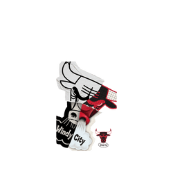 iPhone 17 Pro Clear Case（相機按鈕）  NBA 拼接系列-芝加哥公牛 Chicago Bulls - Style Mix