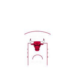 iPhone 17 Pro Clear Case（MagSafe 兼容 & 相機按鈕）  NBA 球場系列-芝加哥公牛 Chicago Bulls - Court