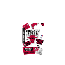 iPhone 17 Pro Clear Case（相機按鈕）  NBA 拼貼系列-芝加哥公牛 Chicago Bulls - Collage