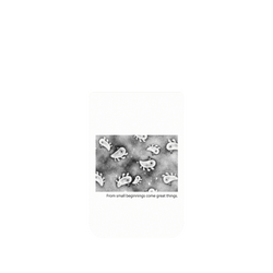 犀牛盾Clear Case（相機按鈕）防摔背蓋手機殼 - iPhone 17 Pro Max - 【聯名設計款】 - 怪奇事物所 Incrediville - 所長細胞群_白