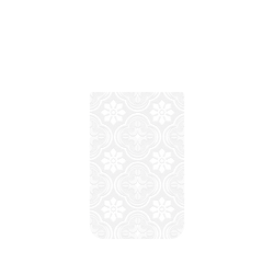 犀牛盾Clear Case (MagSafe 兼容 & 相機按鈕)防摔背蓋手機殼 - iPhone 17 Pro Max - 【聯名設計款】 - 老屋顏 Old House Face - 壓花玻璃-透明海棠