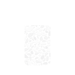 犀牛盾Clear Case（相機按鈕）防摔背蓋手機殼 - iPhone 17 Pro Max - 【聯名設計款】 - 老屋顏 Old House Face - 透明-磨石子
