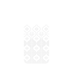 犀牛盾Clear Case (MagSafe 兼容 & 相機按鈕)防摔背蓋手機殼 - iPhone 17 Pro Max - 【聯名設計款】 - 老屋顏 Old House Face - 透明-雛菊