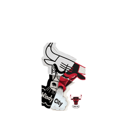 iPhone 17 Pro Max Clear Case（相機按鈕）  NBA 拼接系列-芝加哥公牛 Chicago Bulls - Style Mix