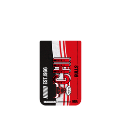 iPhone 17 Pro Max Clear Case（相機按鈕）  NBA 復古球員卡-芝加哥公牛 Chicago Bulls - Vintage Card