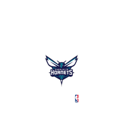 iPhone 17 Pro Max Clear Case（MagSafe 兼容 & 相機按鈕）  NBA Logo-夏洛特黃蜂 Charlotte Hornets