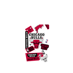 iPhone 17 Pro Max Clear Case（MagSafe 兼容 & 相機按鈕）  NBA 拼貼系列-芝加哥公牛 Chicago Bulls - Collage