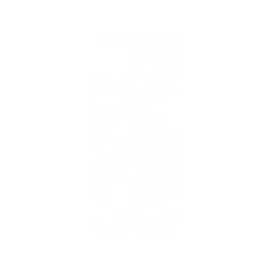 犀牛盾NX (MagSafe 兼容)背板 - iPhone 13 - 【聯名設計款】 - 迪士尼-經典系列 Disney Classics - 獅子王 Le Roi lion - Simba