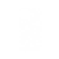 犀牛盾NX (MagSafe 兼容)背板 - iPhone 13 Pro Max - 【聯名設計款】 - 迪士尼-經典系列 Disney Classics - 獅子王 Le Roi lion - Simba
