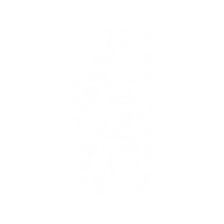 犀牛盾NX系列背板 - iPhone 7/8/SE2/SE3 - 【聯名設計款】 - 迪士尼-經典系列 Disney Classics - 獅子王 Le Roi lion - Simba