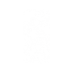 犀牛盾NX系列背板 - iPhone X - 【聯名設計款】 - 迪士尼-經典系列 Disney Classics - 獅子王 Le Roi lion - Simba