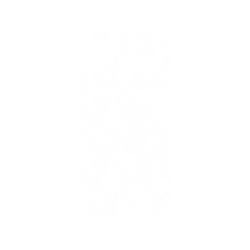 犀牛盾NX系列背板 - iPhone XS - 【聯名設計款】 - 迪士尼-經典系列 Disney Classics - 獅子王 Le Roi lion - Simba