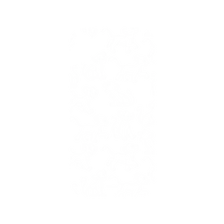 犀牛盾NX系列背板 - iPhone XR - 【聯名設計款】 - 迪士尼-經典系列 Disney Classics - 獅子王 Le Roi lion - Simba