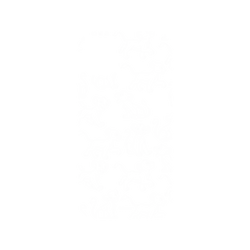 犀牛盾NX系列背板 - iPhone 11 - 【聯名設計款】 - 迪士尼-經典系列 Disney Classics - 獅子王 Le Roi lion - Simba