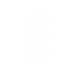 犀牛盾NX系列背板 - iPhone 11 Pro Max - 【聯名設計款】 - 迪士尼-經典系列 Disney Classics - 獅子王 Le Roi lion - Simba