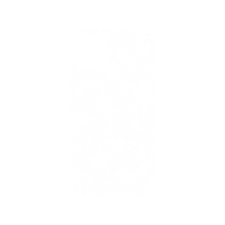 犀牛盾Mod NX手機殼 - iPhone 12 mini - 【聯名設計款】 - 迪士尼-經典系列 Disney Classics - 獅子王 Le Roi lion - Simba