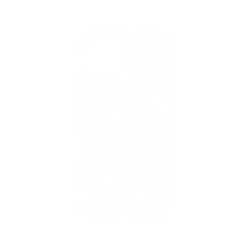 犀牛盾NX系列背板 - iPhone 12/12 Pro - 【聯名設計款】 - 迪士尼-經典系列 Disney Classics - 獅子王 Le Roi lion - Simba