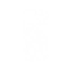 犀牛盾Mod NX手機殼 - iPhone 12 Pro Max - 【聯名設計款】 - 迪士尼-經典系列 Disney Classics - 獅子王 Le Roi lion - Simba