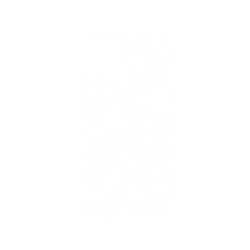 犀牛盾NX系列背板 - iPhone 13 mini - 【聯名設計款】 - 迪士尼-經典系列 Disney Classics - 獅子王 Le Roi lion - Simba