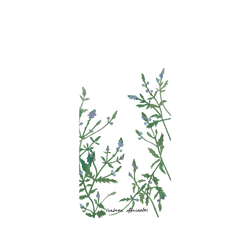 犀牛盾NX系列背板 - iPhone 13  - 【獨家設計款】 - 鬼月系列-馬鞭草