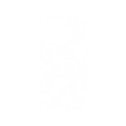 犀牛盾NX系列背板 - iPhone 13 Pro - 【聯名設計款】 - 迪士尼-經典系列 Disney Classics - 獅子王 Le Roi lion - Simba