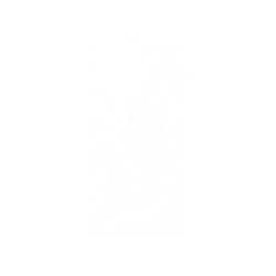 犀牛盾NX系列背板 - iPhone 14 Pro - 【聯名設計款】 - 懶散兔與啾先生 Lazy Rabbit and Mr.Chu - outerspace