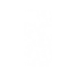 犀牛盾Mod NX (MagSafe 兼容)手機殼 - iPhone 15 - 迪士尼-經典系列 Disney Classics - 獅子王 Le Roi lion - Simba