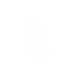 犀牛盾NX系列背板 - iPhone 15 Plus - 【獨家設計款】 - 草綠系列-蒲公英