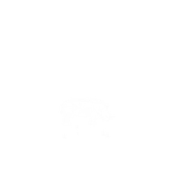 犀牛盾NX系列背板 - iPhone 15 Plus - 【獨家設計款】 - 幾何-動物系列/犀牛