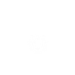 犀牛盾NX系列背板 - iPhone 15 Plus - 【獨家設計款】 - 幾何-動物系列/虎