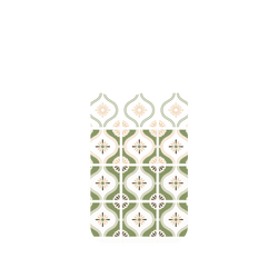 犀牛盾Mod NX手機殼 - iPhone 15 Pro - 【聯名設計款】 - 老屋顏 Old House Face - Newtro印花磚 - 雛菊