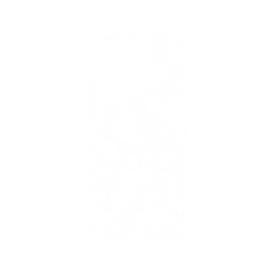 犀牛盾NX系列背板 - iPhone 15 Pro - 【聯名設計款】 - 迪士尼-經典系列 Disney Classics - 獅子王 Le Roi lion - Simba