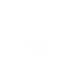 犀牛盾NX系列背板 - iPhone 15 Pro Max - 【獨家設計款】 - 幾何-動物系列/守護犬