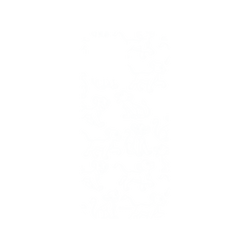 犀牛盾NX系列背板 - iPhone 15 Pro Max - 【聯名設計款】 - 迪士尼-經典系列 Disney Classics - 獅子王 Le Roi lion - Simba