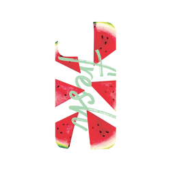 犀牛盾NX系列背板 - iPhone 16 - 【獨家設計款】 - Fresh盛夏西瓜
