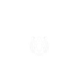 犀牛盾NX系列背板 - iPhone 16 - 【獨家設計款】 - 幾何-動物系列/虎